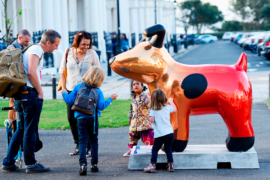 Snowdogs by the Sea Festive Farewell Event