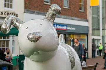 Snowdogs_Discover_Ashford