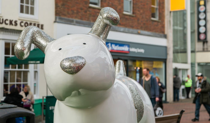 Snowdogs_Discover_Ashford